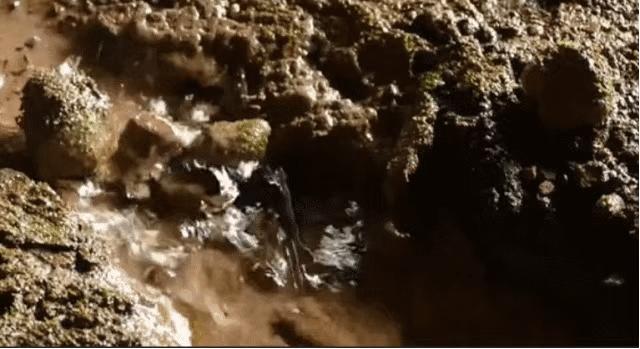 马家岩紫色花树,马家岩宜居