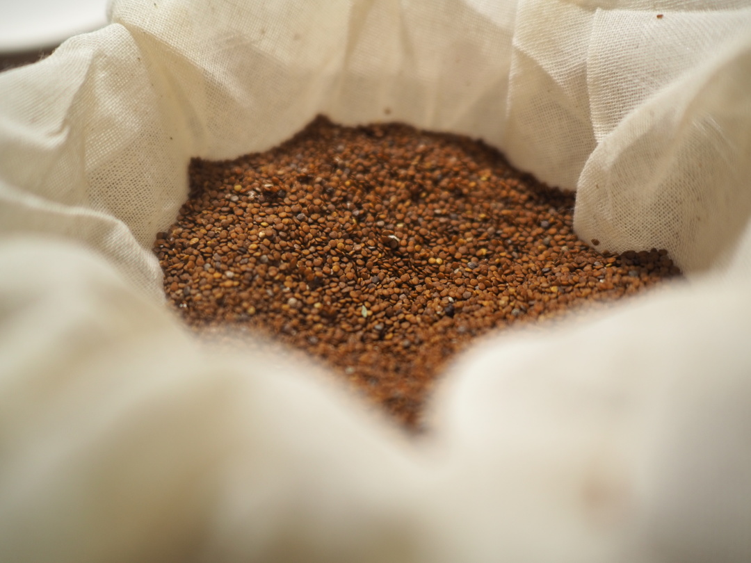 手搓冰粉一碗份量,怎么搓的冰粉颜色白