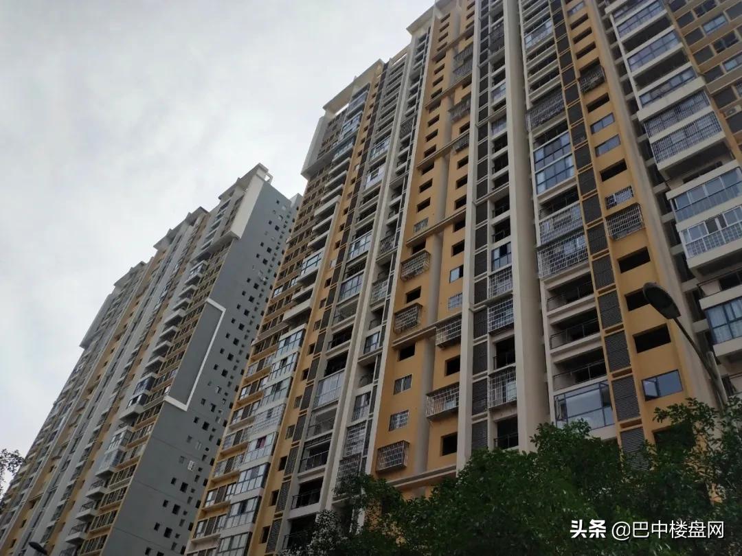 巴中2019发展项目,多方努力的成果