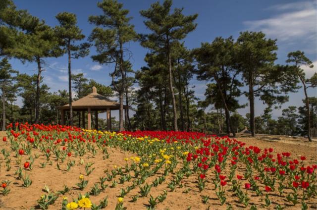 济南桌游馆,济南桌游哪里好