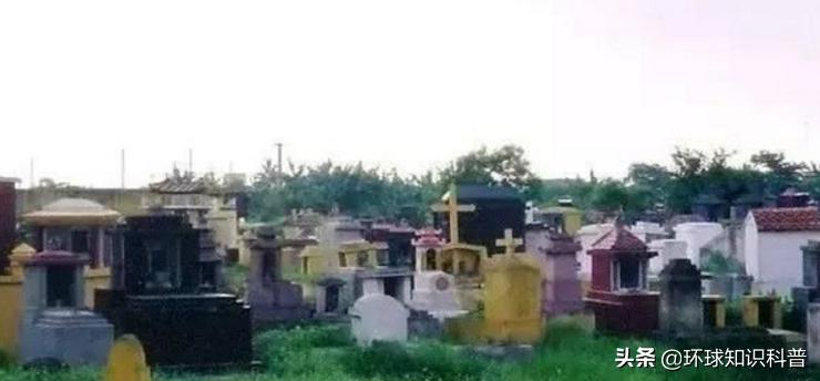 越南的奇闻奇事,越南趣闻