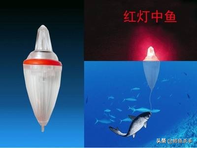 哪些渔具没必要买,什么渔具不用花钱就可以买