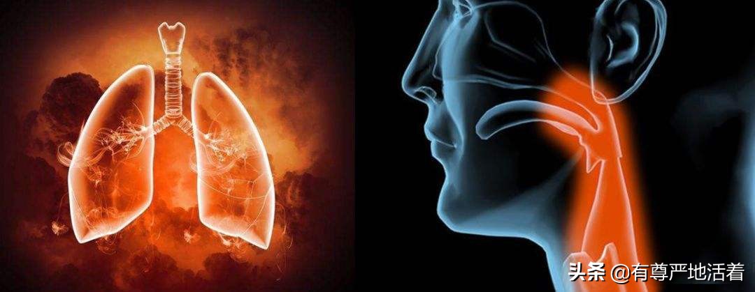 预防食源性疾病十项培训,预防食源性致病菌