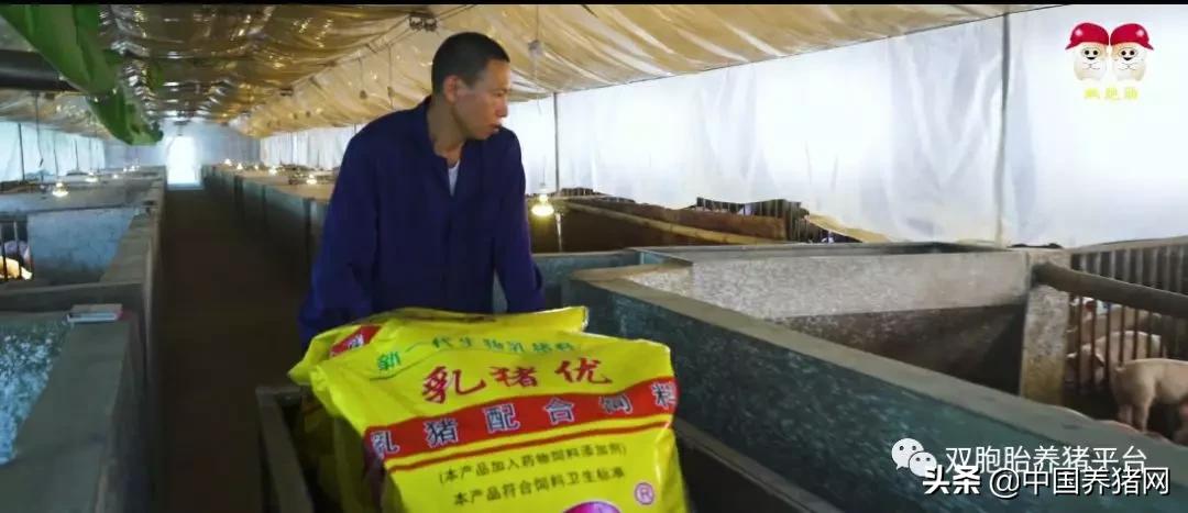 苗好、料好、服务好!全国养殖户都盯上了双胞胎的“公司+农户”