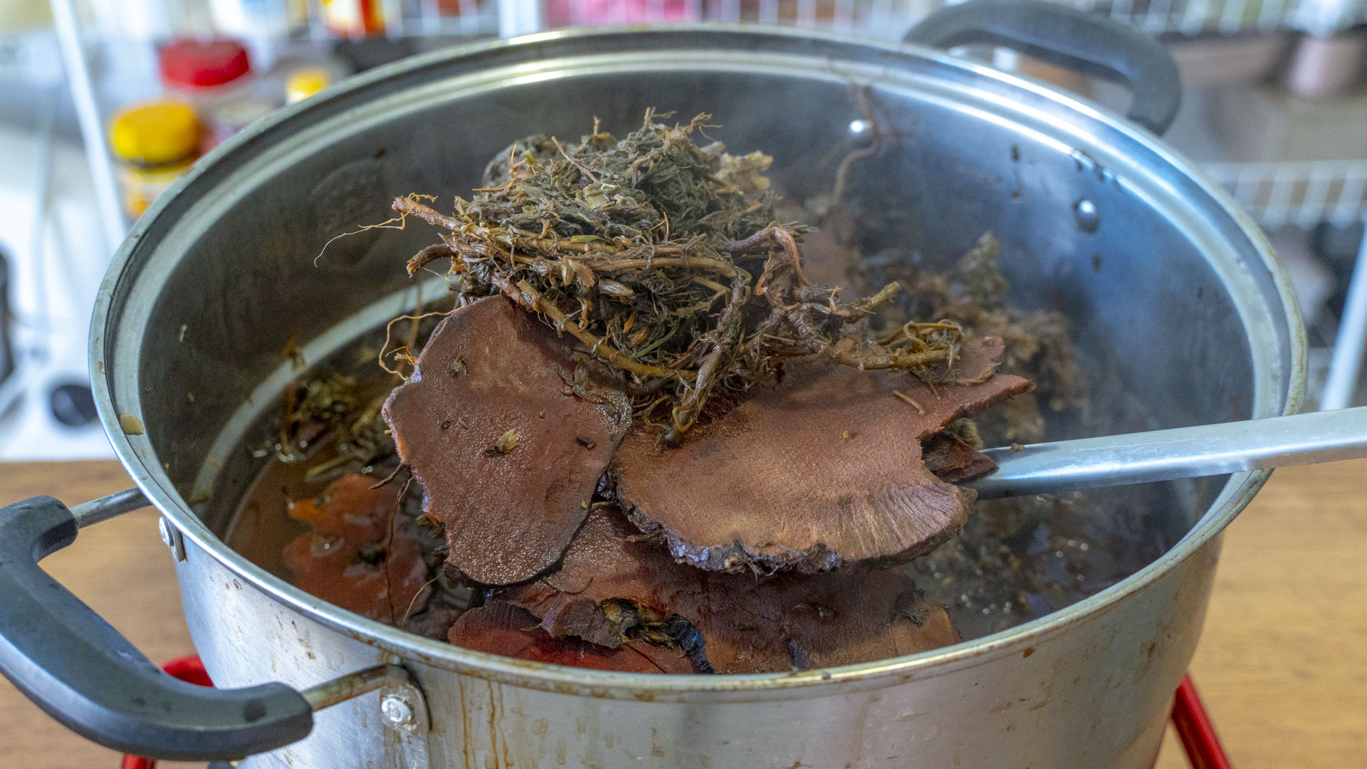 真正龟苓膏做法,龟苓膏熬制配方大全图解