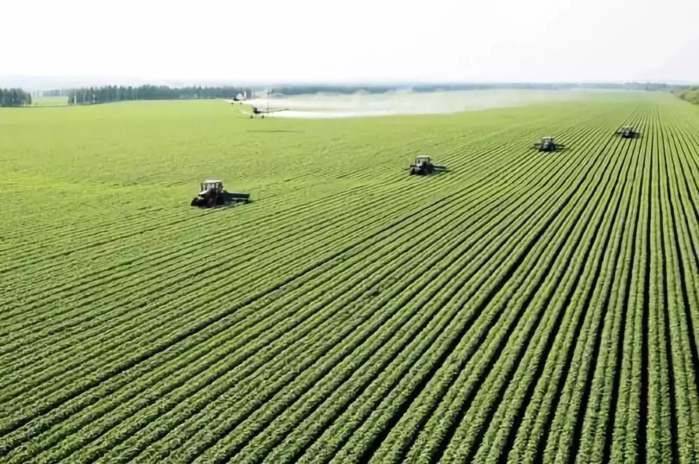 化肥农业曾经的希望，为什么被称为“土地*片鸦**”？都好好看看吧