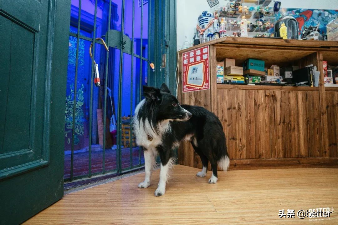 潮玩店的坑,逛完所有的玩具店