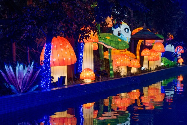 广州长隆旅游攻略自由行详细,广州长隆五一节3天2夜亲子游攻略