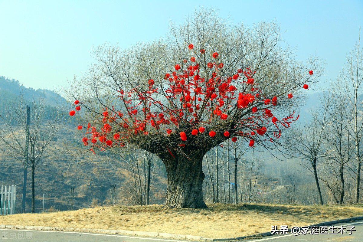 肺结核病难治吗,糖尿病合并空洞型肺结核难治吗