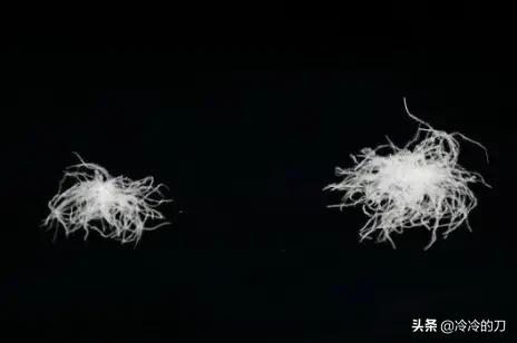 鹅绒羽绒服知识普及,羽绒服最好的鹅绒是什么