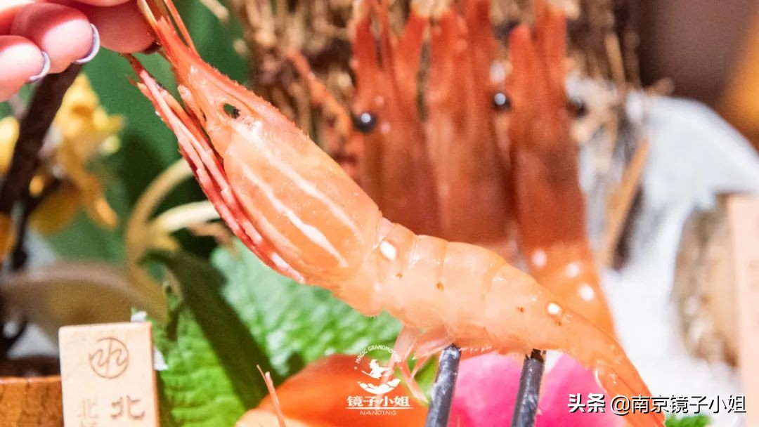 @南京人!寿喜烧大佬新品放题重磅来袭