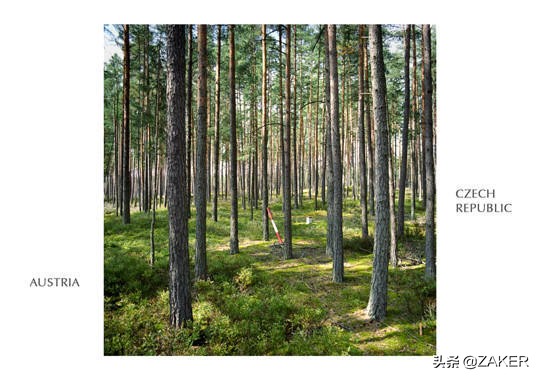 住在国境线上的人,住在国界什么体验