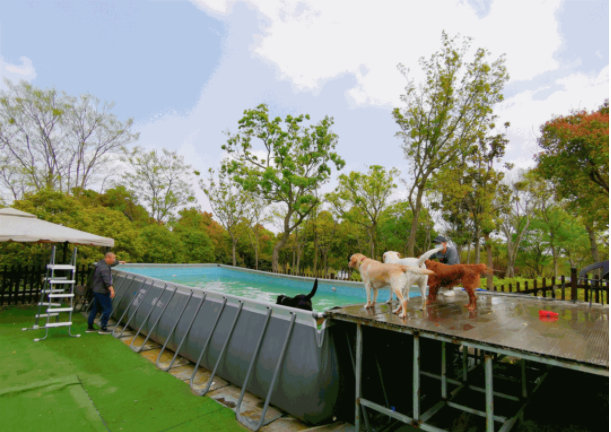 苏州的宠物公园在哪里,苏州有哪些乐园可以带宠物