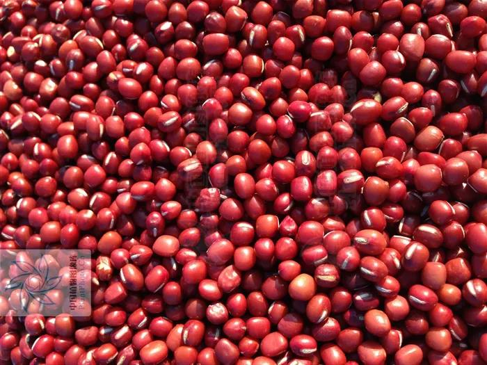 湿困症吃什么中成药,湿困怎么治