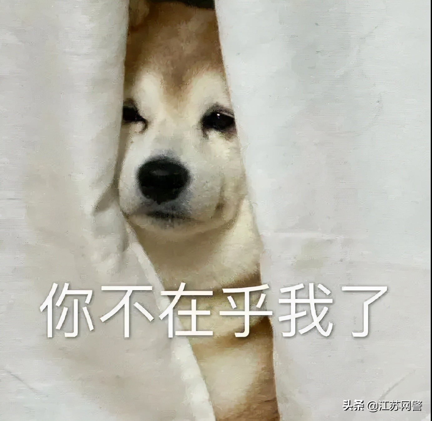 江苏南京：花两万多找人代购，几个月都没收到货