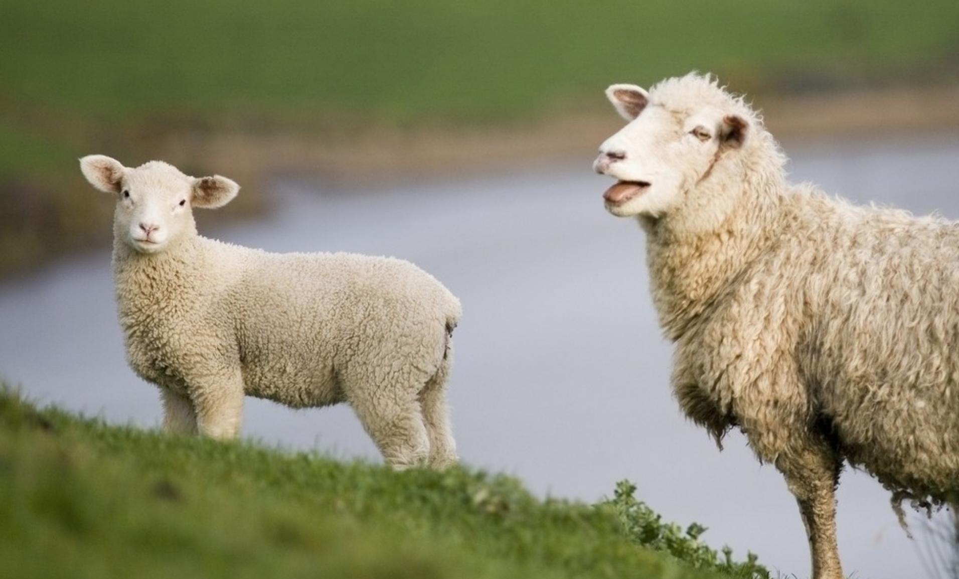 冬季穿毛衣的小技巧你知道几个,女人冬装毛衣显瘦