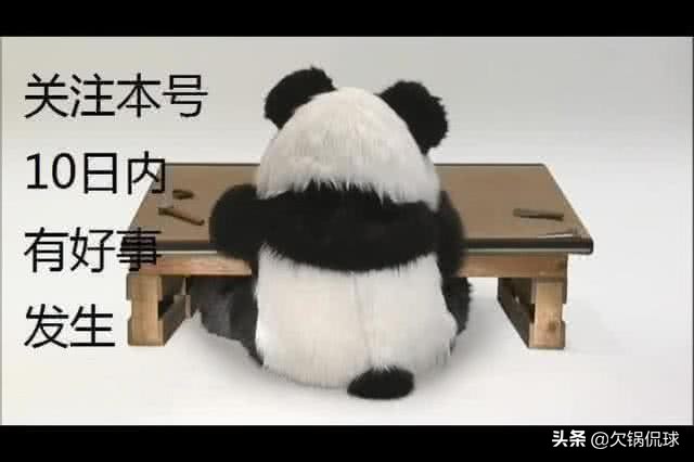 足球解说青训情况,央视解说中国足球青训现状