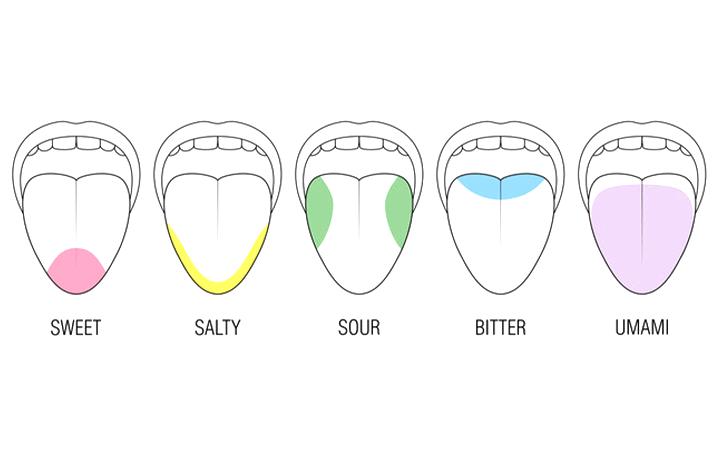 日本研究人员发明美味舔舔棒，可造全方位味觉体验！宅男爱了