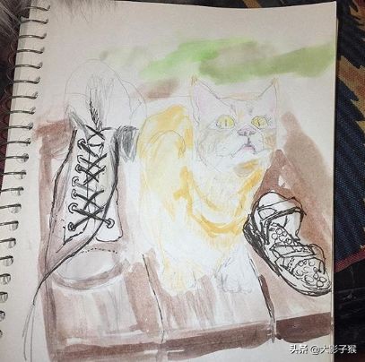 昨晚，我家猫叼来了一件蕾丝内衣…