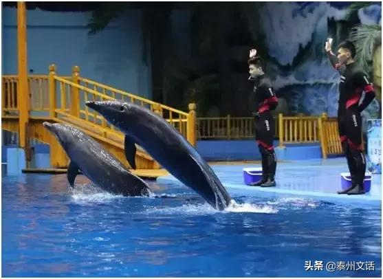 六一儿童节好去处泰州,泰州六一儿童节带孩子去哪玩