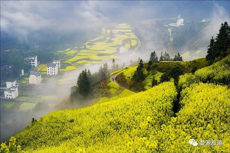 花田喜事展,花田喜事农耕创意团购