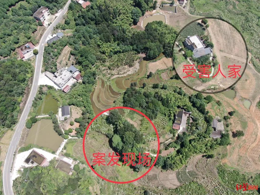 14岁少年性侵杀害表姐案,14岁少年杀害18岁表姐后续