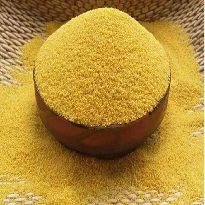 串钩钓法需要打窝吗,抛竿串钩钓鱼技巧教程