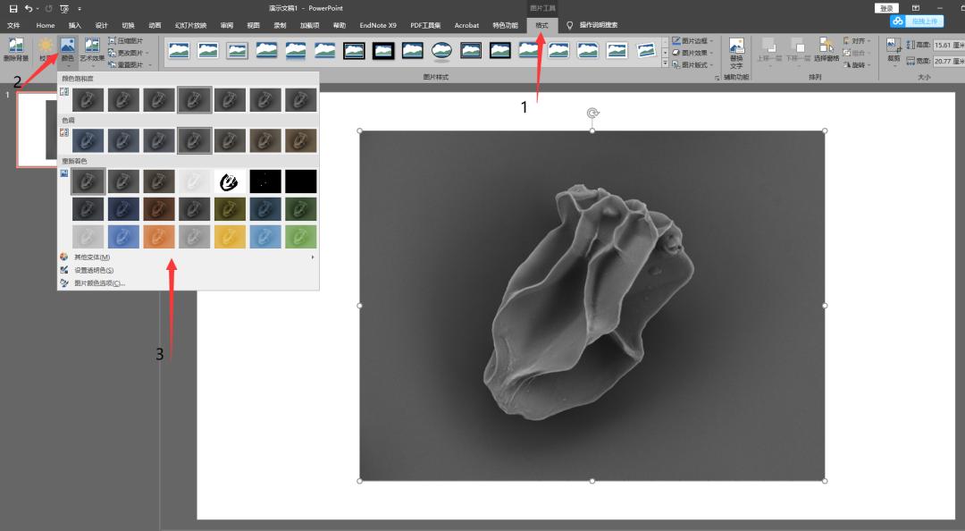 ppt如何对电镜扫描的元素重新着色,ppt怎么给扫描电镜图片排版