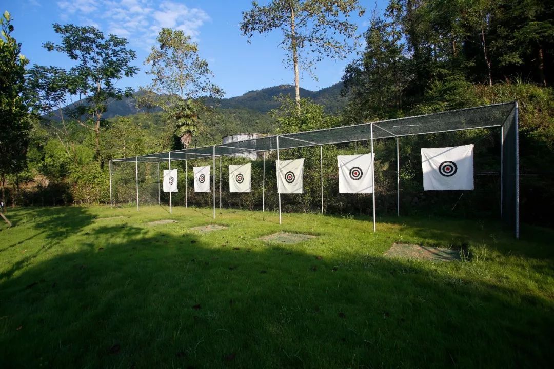 *弹子**过期怎么办?美国做法太不人道,中国处理方式堪称教科书级