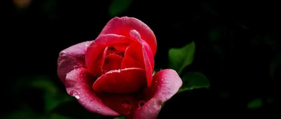 7天月经变化过程,7天月经变化