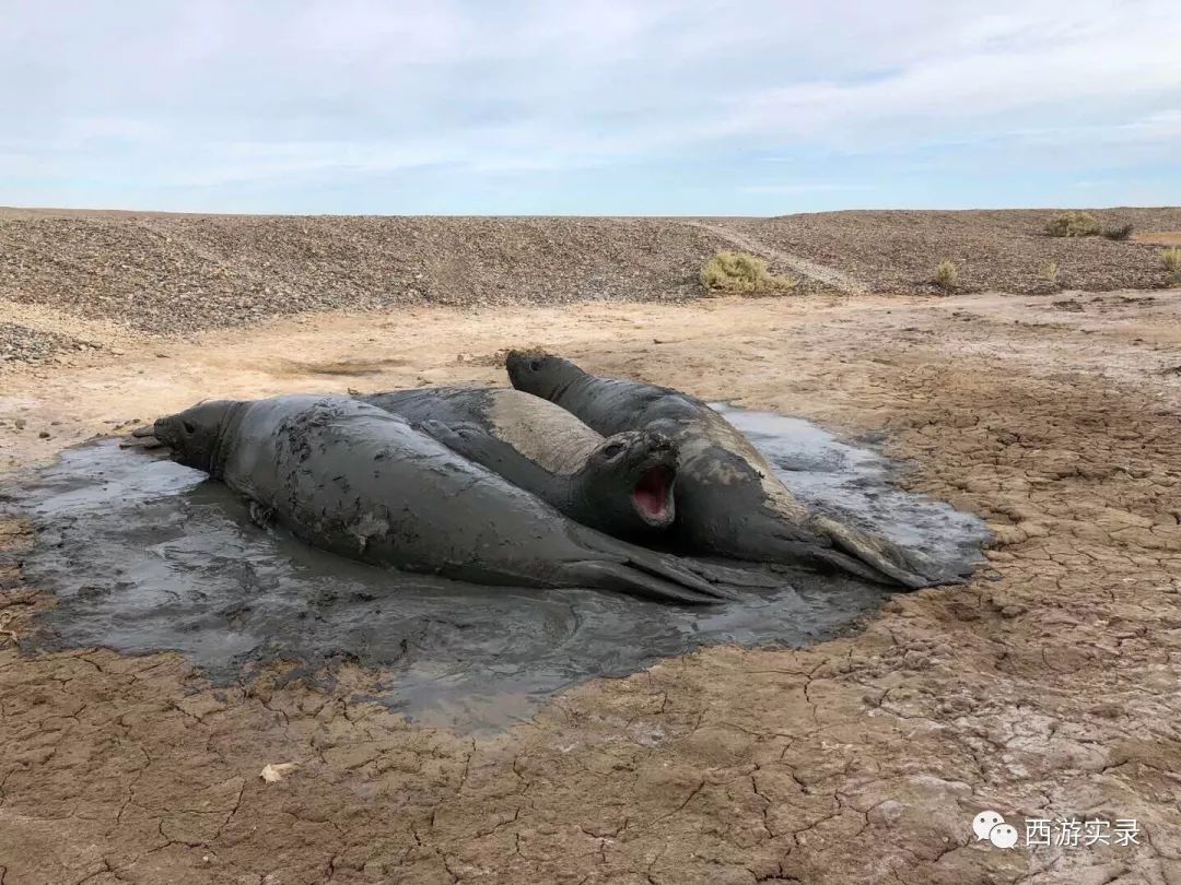 史上最牛沪C开到了世界尽头