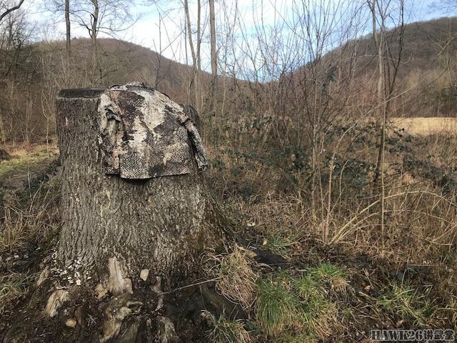 用照片说话：德国幻影公司“黄蜂II”Z4迷彩实际伪装效果如何？