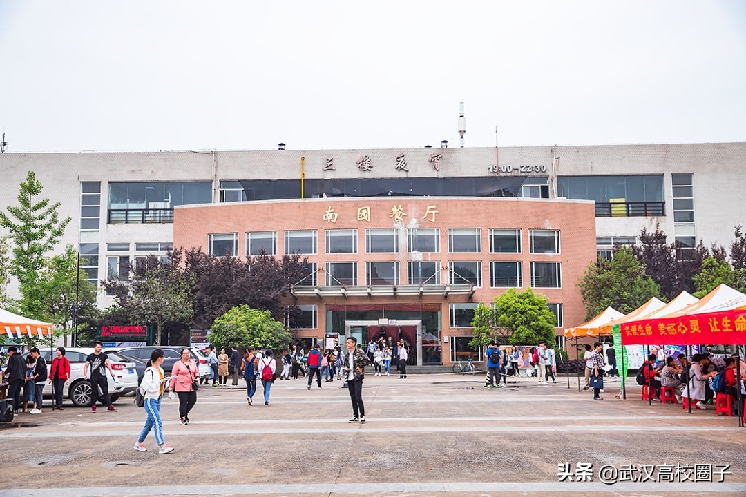 爸妈我想回家视频,爸妈我想回家了原视频