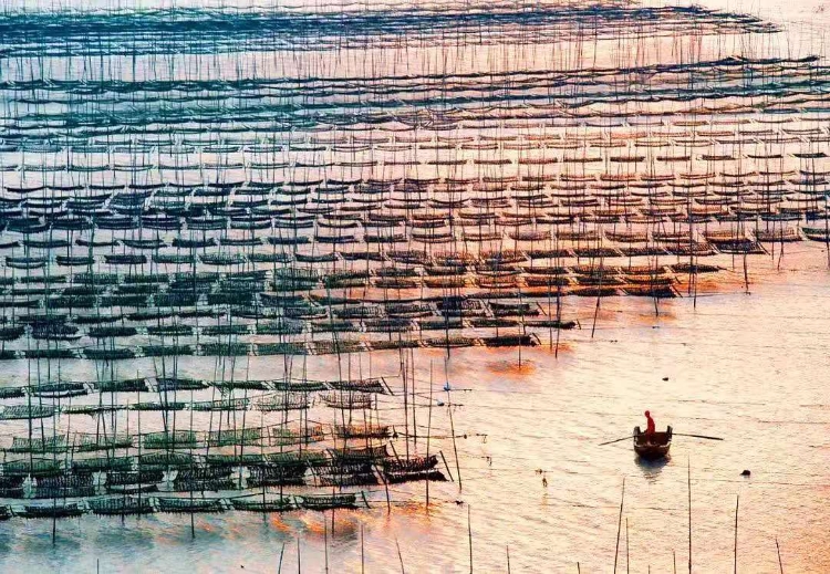 温州洞头一日游必去景点推荐,温州必去旅游景点