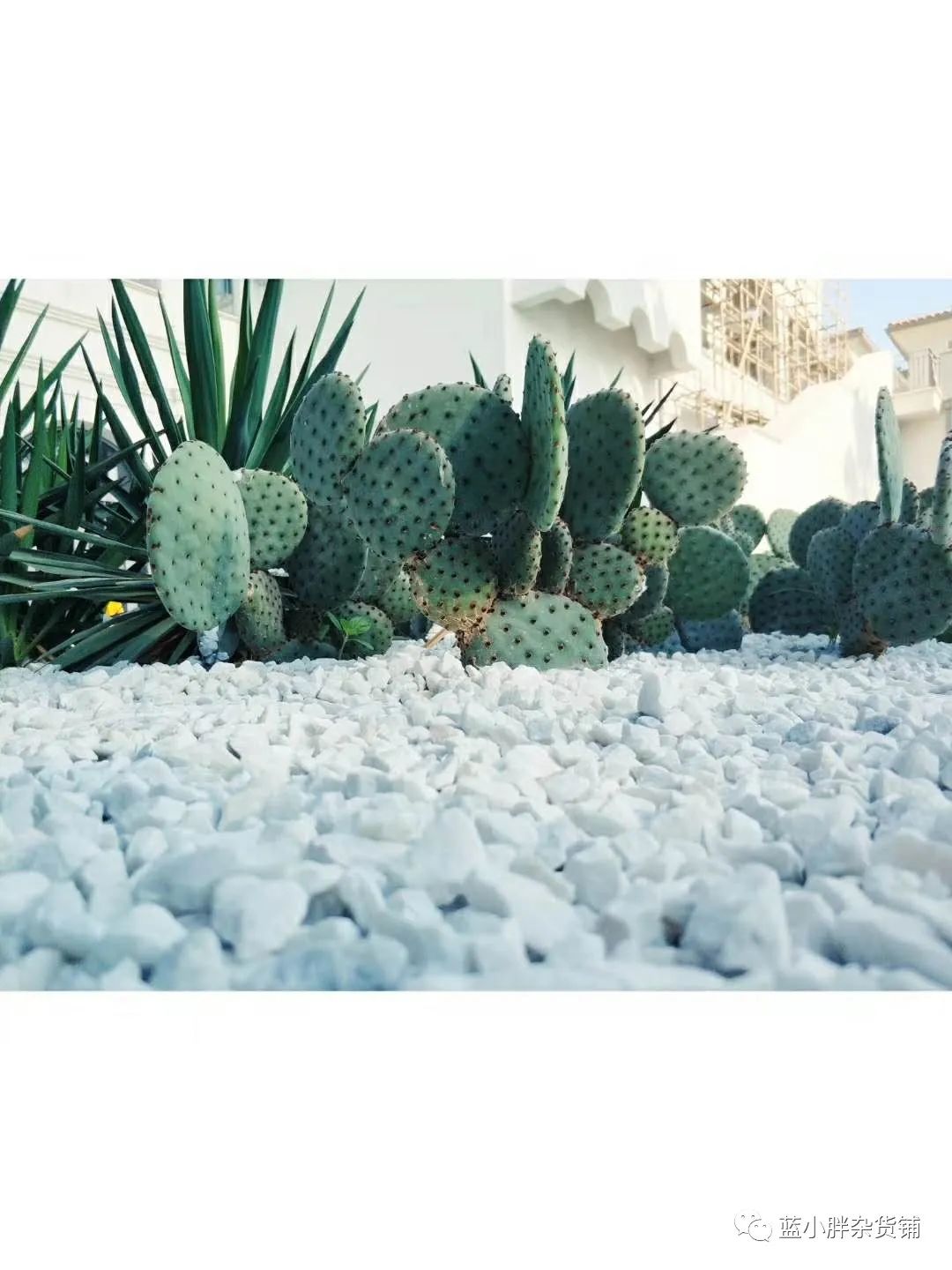 阿那亚网红打卡地怎么发朋友圈,打卡阿那亚海滩