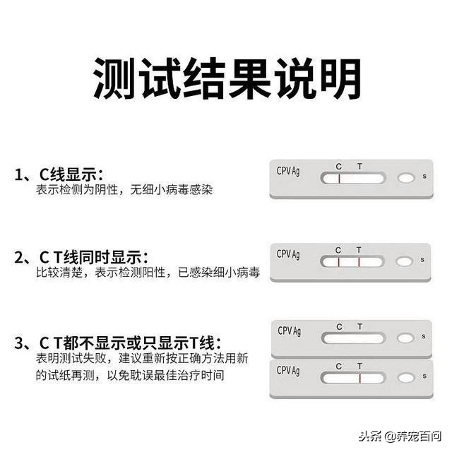 狗狗腹泻呕吐最快缓解方法,狗狗喂了螃蟹后呕吐拉肚子