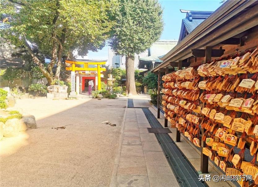 海洋光谱号游日本,海洋光谱号东南亚5日游行程如何