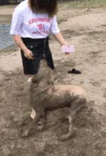 山海经中以乳为目以脐为口的怪物,山海经搞笑图片