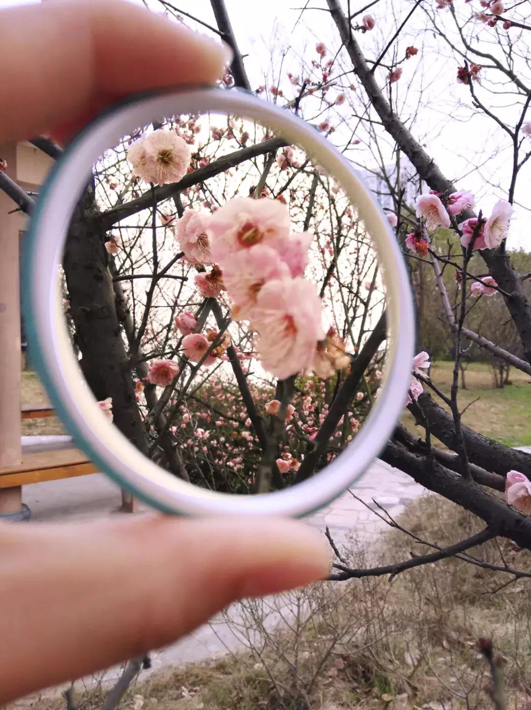 镜中的武工院，是最美？妙不可言？