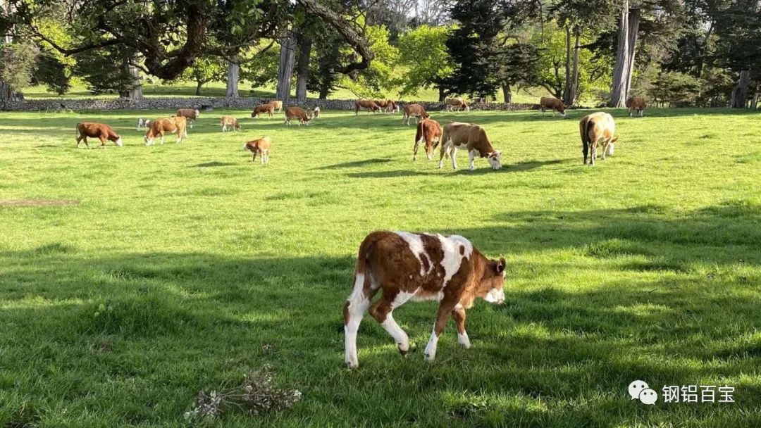 如何成为电气设计行业专家,电气工程师要学的课程