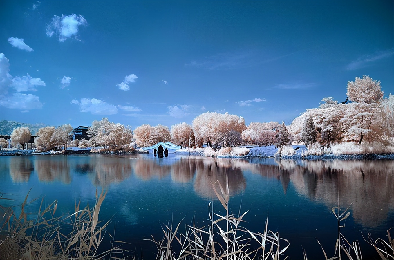 秦皇岛沉浸式旅游,秦皇岛自驾游体验