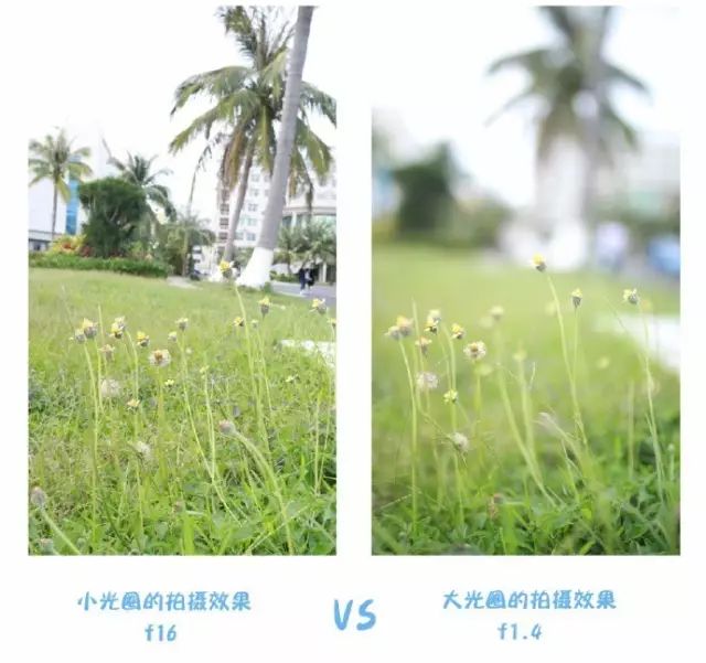 唯美照片必备技能光斑拍摄*法大**撩妹技巧