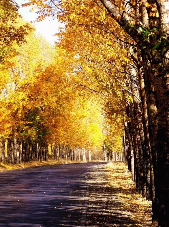 人生必须去的全世界50个旅游地点,人生必须去中国的五十个地方