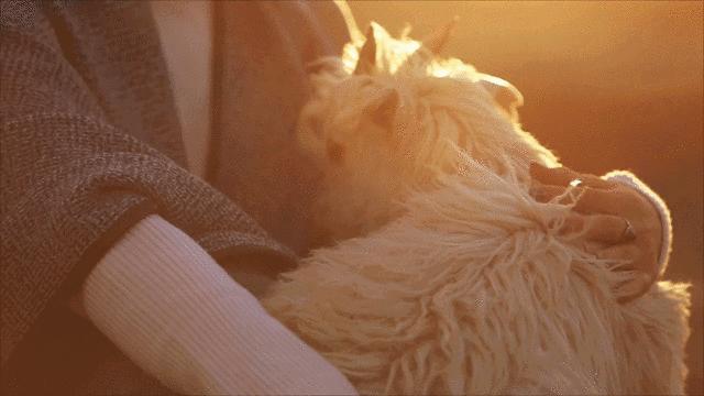 日本人冬天穿什么保暖,日本人冬天不怕冻腿吗