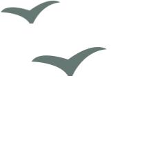 招聘95个事业单位的最近公告,市直事业单位招聘194名工作人员