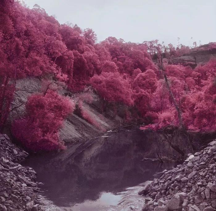 粉色除了“招揽桃花”，它们还是艺术