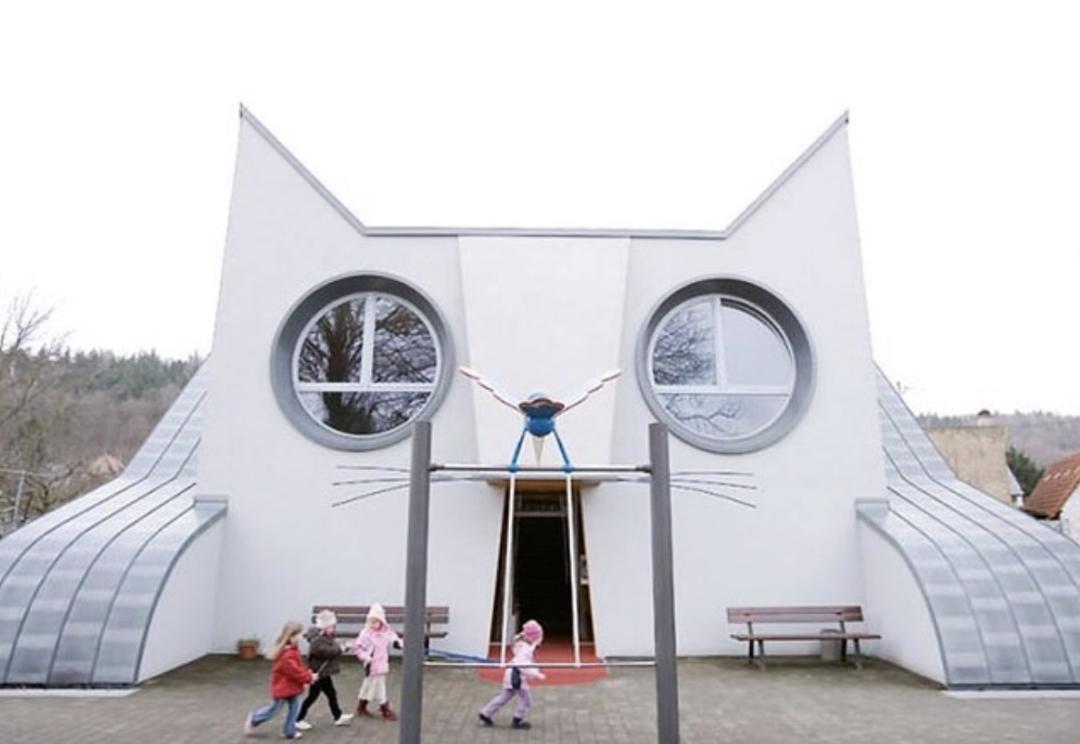 看了就想养的宠物,看了就想养宠物的视频