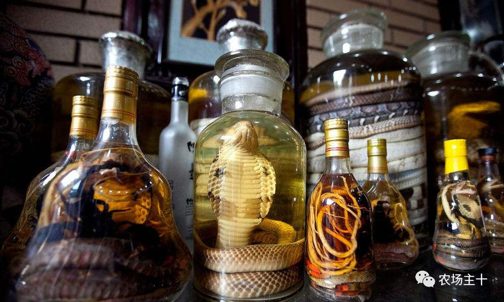 从乞丐到身价200万仅用一年时间,从乞讨到名相的传奇人生