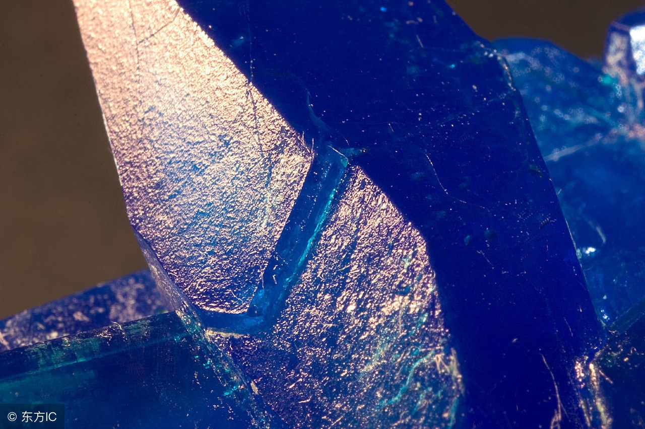 春晚涉及到的高考考点是真的吗,央视春晚涉及的高考知识点