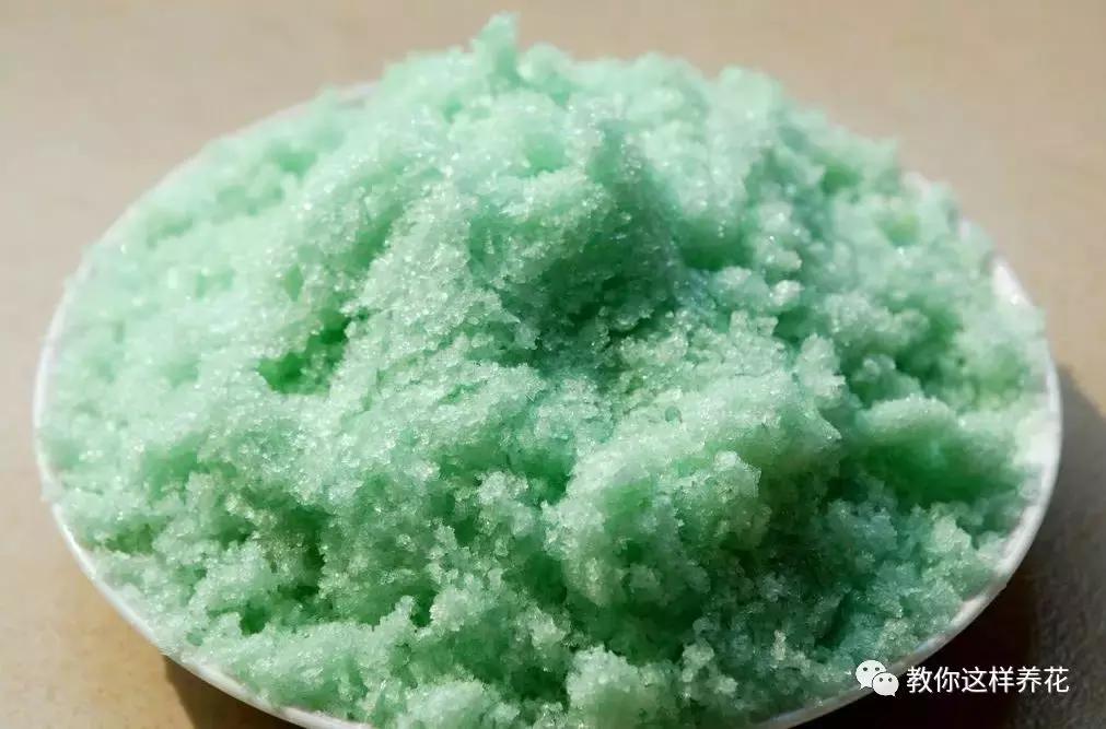 花儿黄叶烂叶怎么办,花儿叶子发黄用什么药